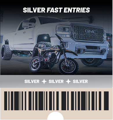 Silver Fast Entries