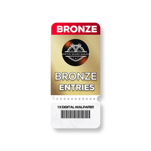 Bronze Fast Entries